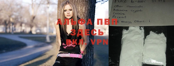 дмт Алзамай