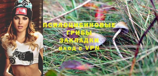 дмт Алзамай