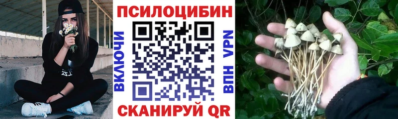 кракен ONION  Новоузенск  Псилоцибиновые грибы ЛСД 