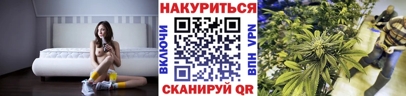 omg онион  Новоузенск  Каннабис ГИДРОПОН  наркота 